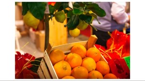 Nutrition: Oranges, Lemons